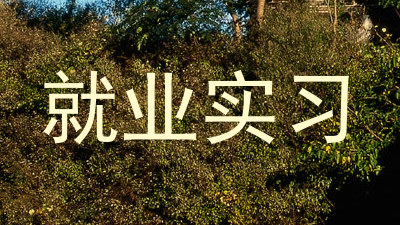 就业实习