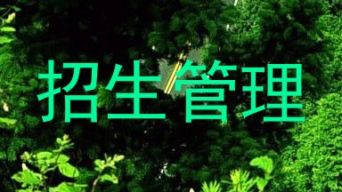 招生管理