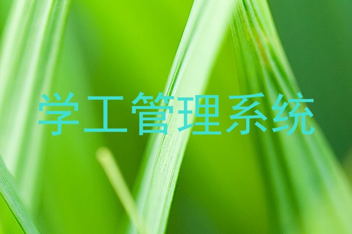 学工管理系统