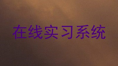 在线实习系统