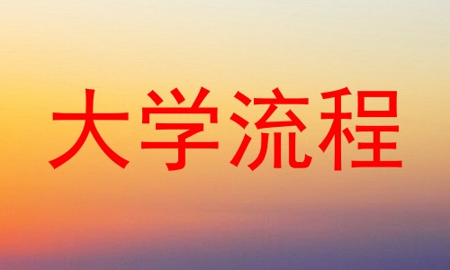 大学流程