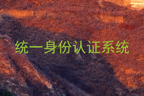 统一身份认证系统