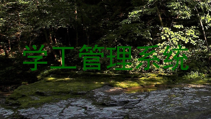 学工管理系统