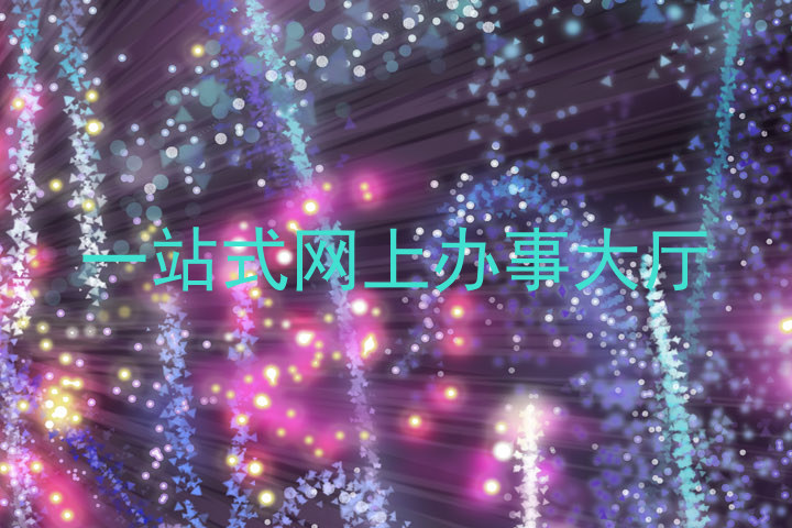 一站式网上办事大厅