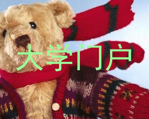 大学门户