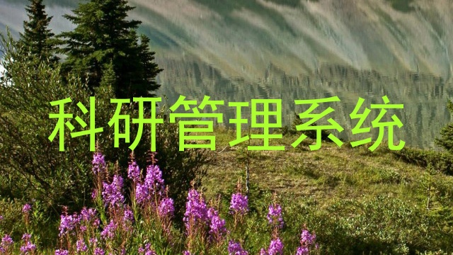 科研管理系统
