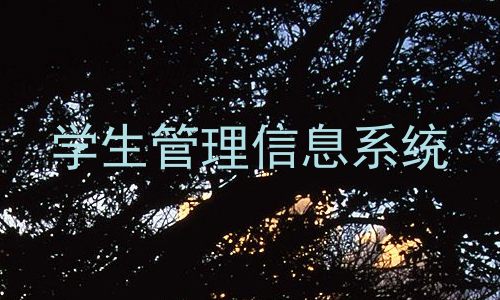 学生管理信息系统