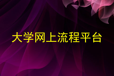 大学网上流程平台