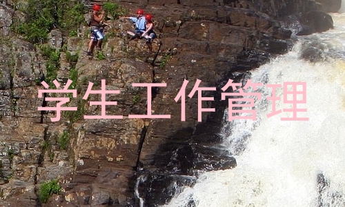 学生工作管理
