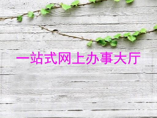 一站式网上办事大厅