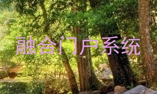 融合门户系统