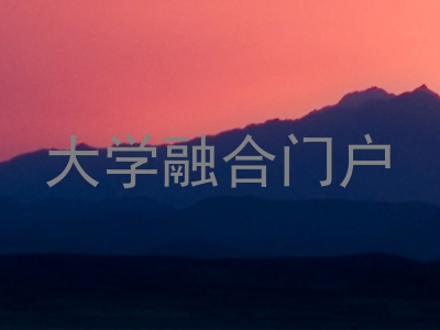 大学融合门户