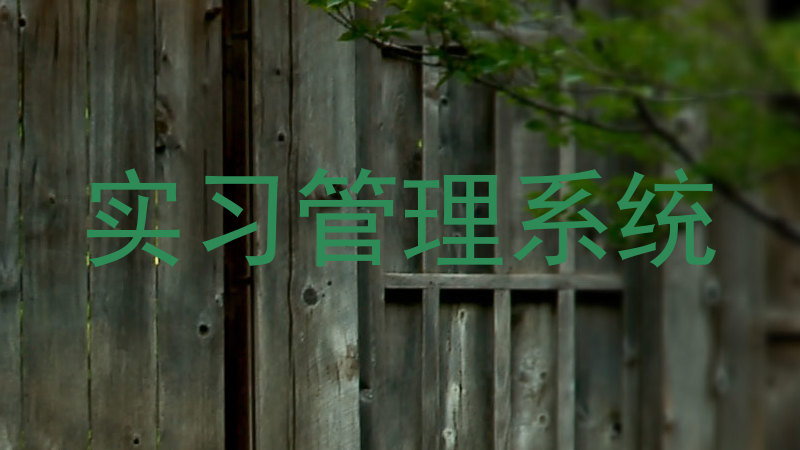 实习管理系统