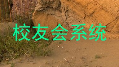 校友会系统