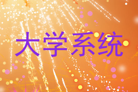 大学系统