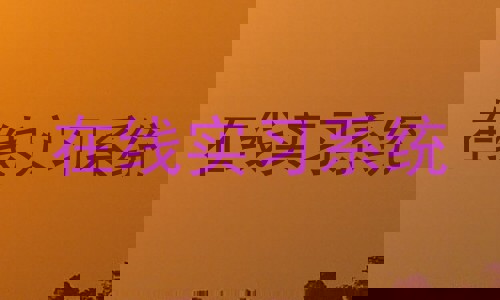 在线实习系统