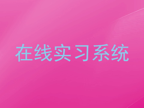 在线实习系统
