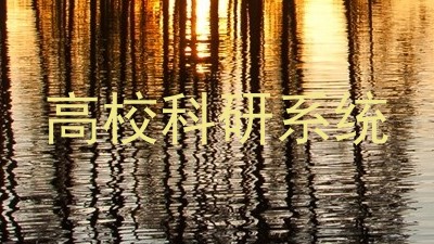 高校科研系统