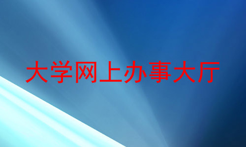 大学网上办事大厅