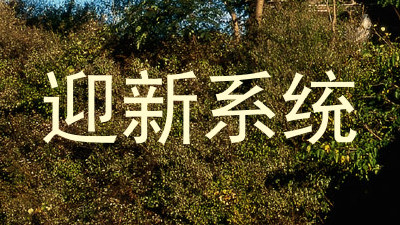 迎新系统