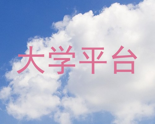 大学平台