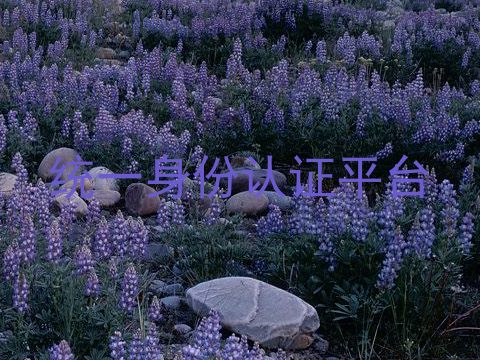 统一身份认证平台