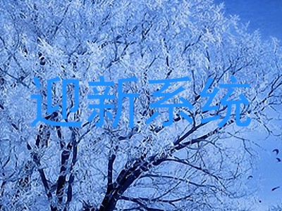 迎新系统