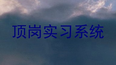 顶岗实习系统