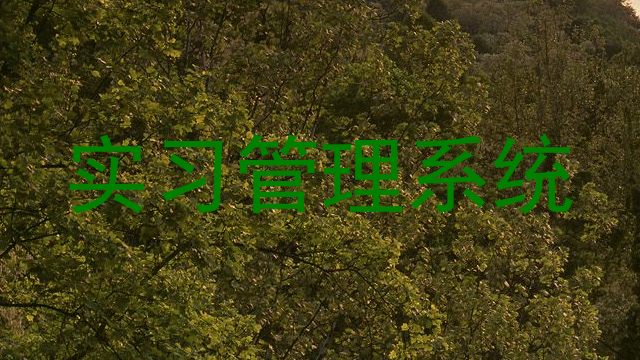 实习管理系统