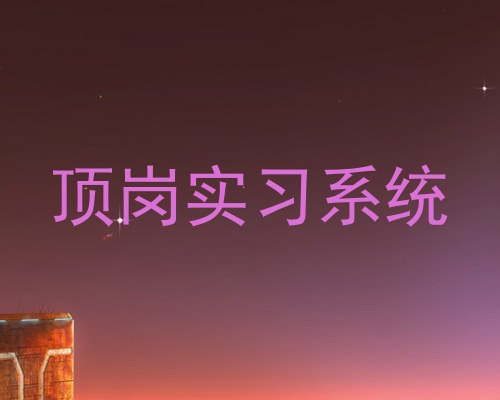 顶岗实习系统