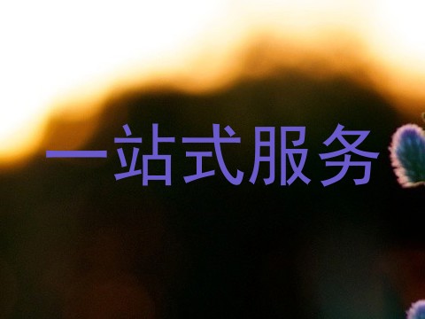 一站式服务