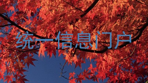 统一信息门户