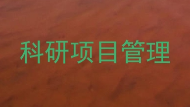 科研项目管理