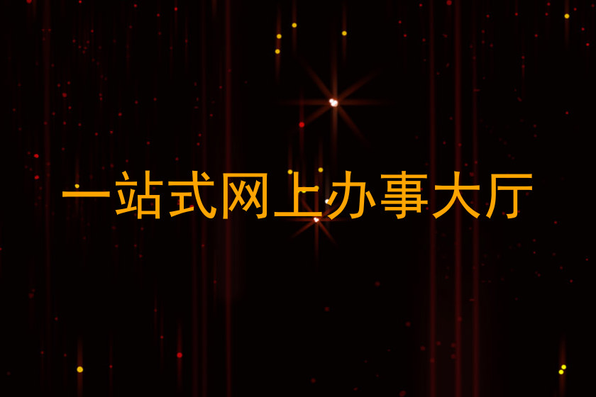 一站式网上办事大厅