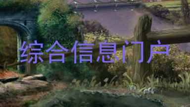 综合信息门户