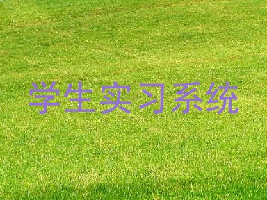 学生实习系统