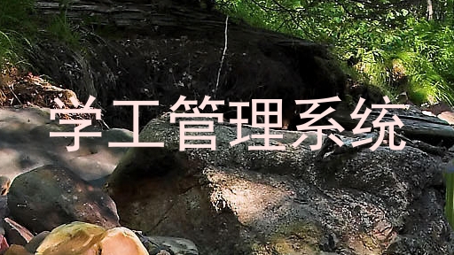 学工管理系统