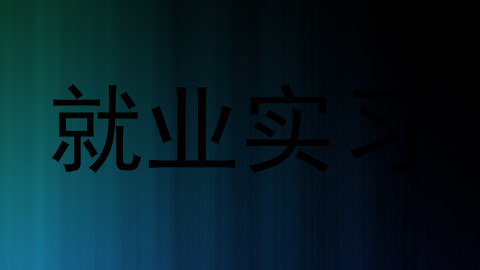 就业实习