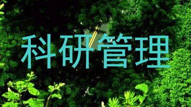 科研管理