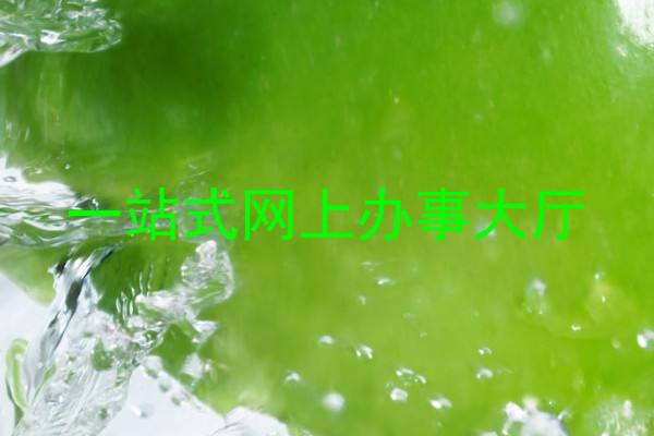 一站式网上办事大厅