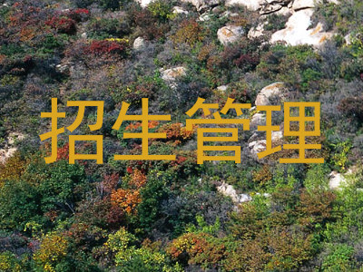 招生管理