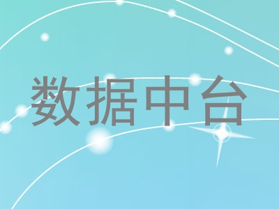 数据中台