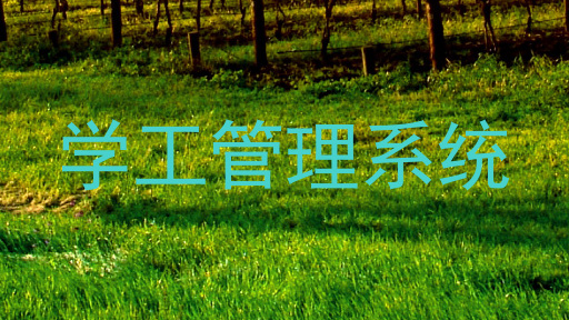 学工管理系统
