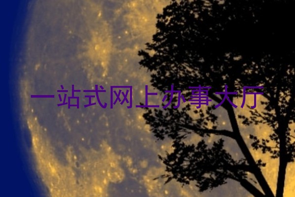 一站式网上办事大厅