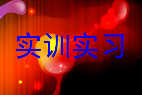 实训实习