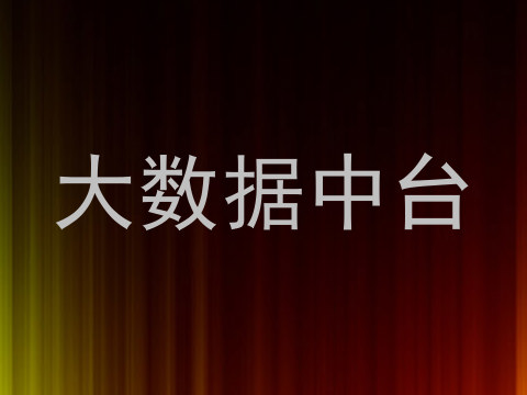 大数据中台