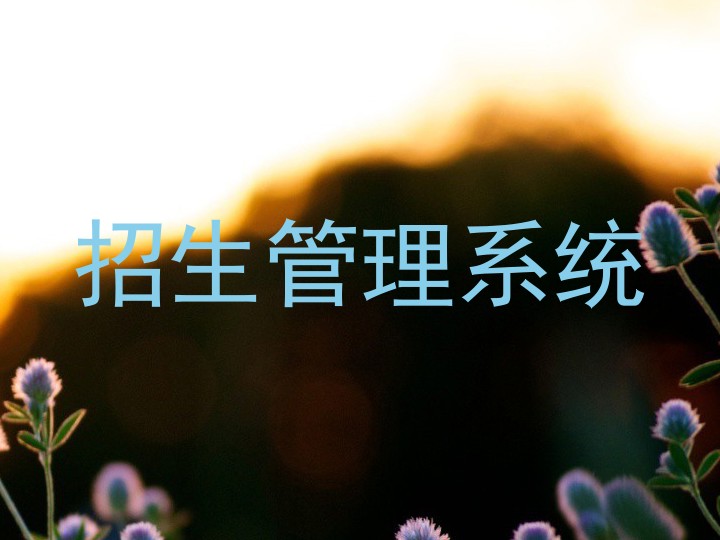 招生管理系统