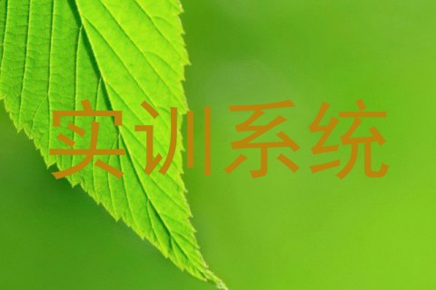 实训系统