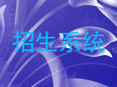 招生系统