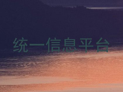 统一信息平台